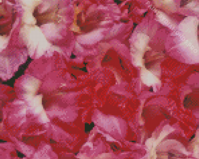 Pink Flowers Gladiolus Diamond Painting