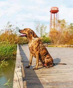 Plott Hound Diamond Painting