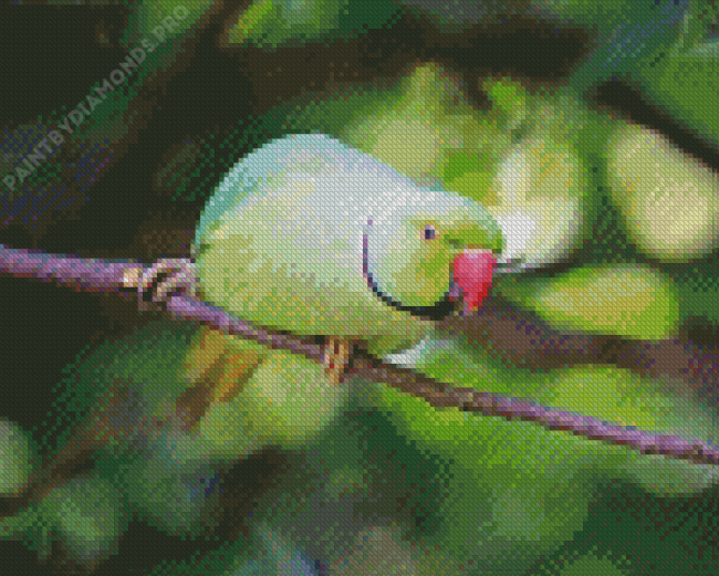 Red Neck Parrot Diamond Painting