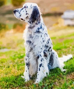 Setter Dog Diamond Painting