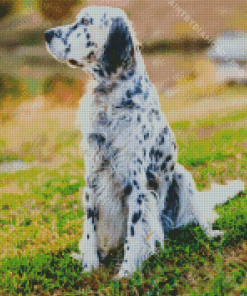 Setter Dog Diamond Painting