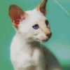 Siamese Oriental Kitten Diamond Painting