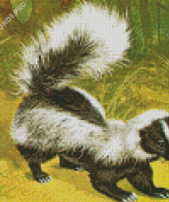 Skunk Diamond Painting