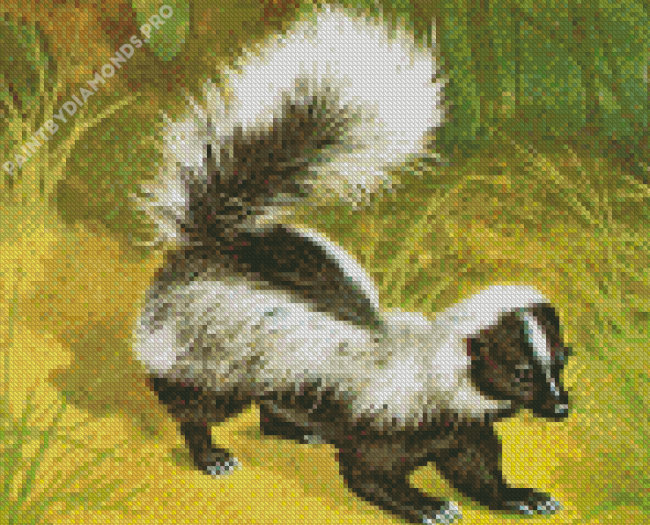 Skunk Diamond Painting