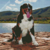 The Bernese Mountain Dog Diamond Painting