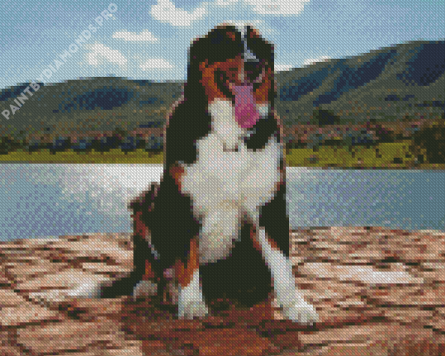 The Bernese Mountain Dog Diamond Painting