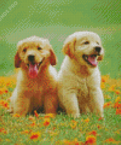 Two Spaniels Diamond Painting