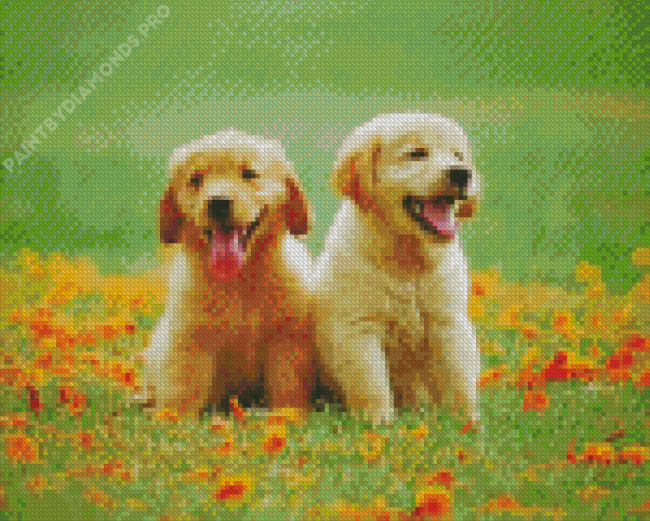 Two Spaniels Diamond Painting