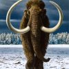 Brown Wolly Mammoth Walking In Snow With Diamond Painting