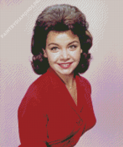 Aesthetic Annette Funicello Diamond Painting