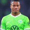 Aster Vranckx Wolfsburg Football Player Diamond Painting