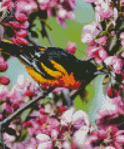 Baltimore Oriole Diamond Painting