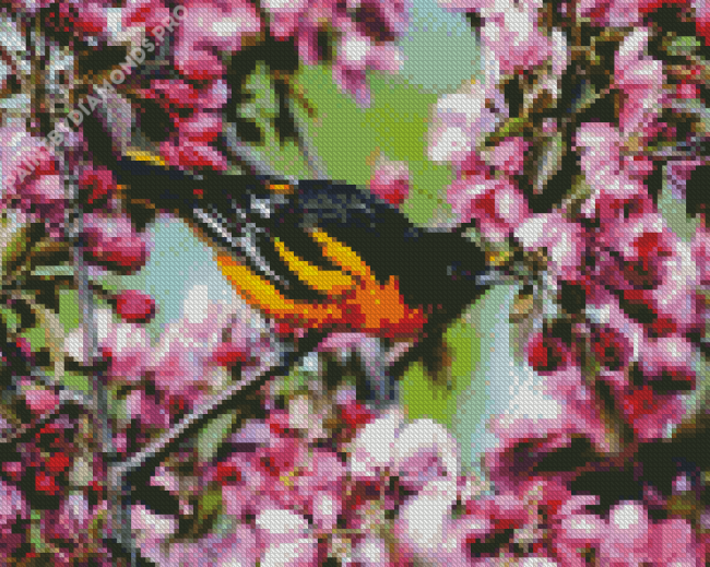 Baltimore Oriole Diamond Painting