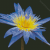 Beautiful Blue Water Lily Diamond Painting