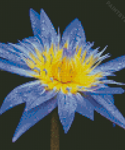 Beautiful Blue Water Lily Diamond Painting