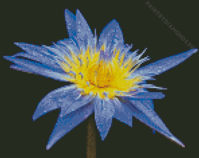 Beautiful Blue Water Lily Diamond Painting