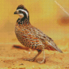 Bobwhite Quail And Bee Diamond Painting