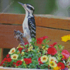 Downy Woodpecker Diamond Painting