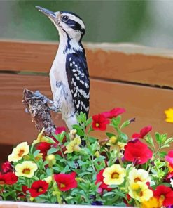 Downy Woodpecker Diamond Painting