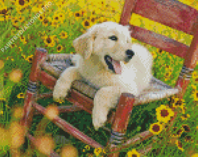 Golden Retriever Diamond Painting