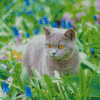 Grey Cat In A Garden Diamond Painting