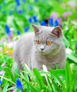 Grey Cat In A Garden Diamond Painting