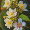 Jasmine Flower Diamond Painting