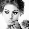 Monochrome Sophia Loren Diamond Painting