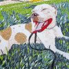 Mosaic Pitbull Dog Diamond Painting