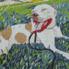 Mosaic Pitbull Dog Diamond Painting