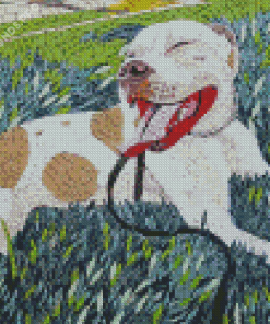 Mosaic Pitbull Dog Diamond Painting