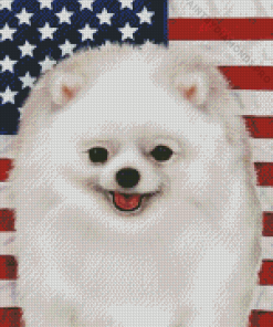 Patriotic Pomeranian Diamond Painting