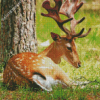 Resting Deer Animal Diamond Painting