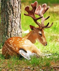 Resting Deer Animal Diamond Painting