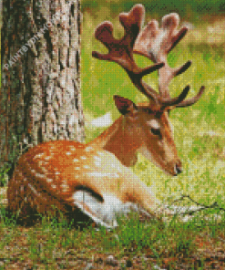 Resting Deer Animal Diamond Painting