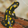 Salamander Back Diamond Painting