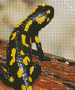 Salamander Back Diamond Painting