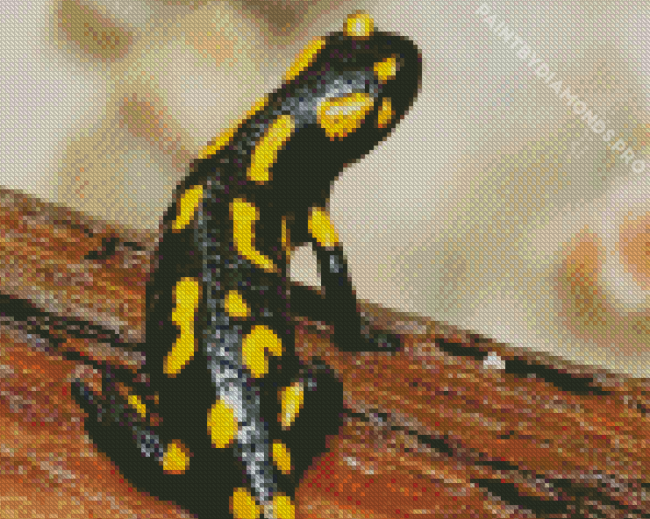 Salamander Back Diamond Painting