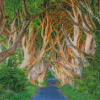 The Dark Hedges Diamond Painting