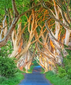 The Dark Hedges Diamond Painting