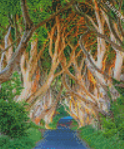 The Dark Hedges Diamond Painting