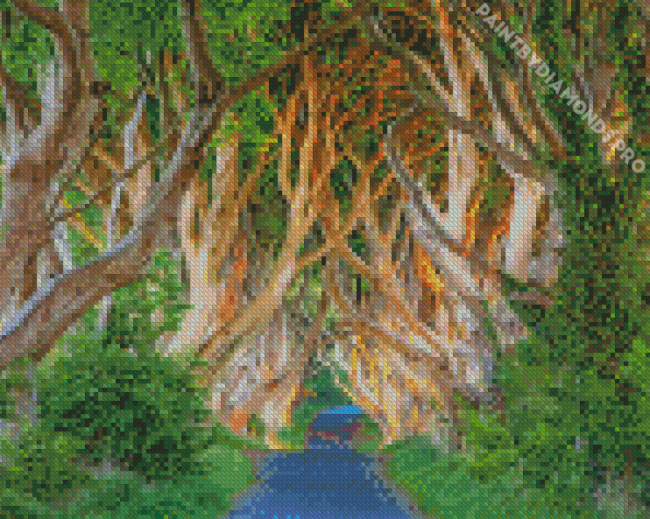 The Dark Hedges Diamond Painting