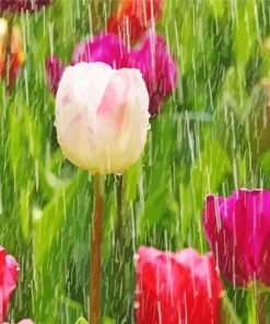 Tulips Rainy Spring Day Diamond Painting