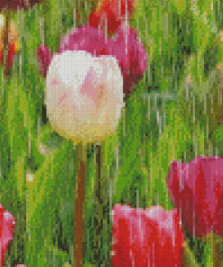 Tulips Rainy Spring Day Diamond Painting