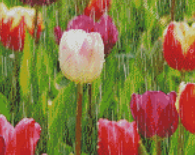 Tulips Rainy Spring Day Diamond Painting