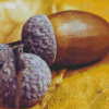 Acorn Diamond Painting