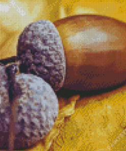 Acorn Diamond Painting