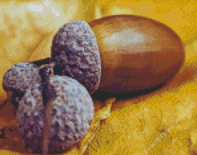 Acorn Diamond Painting