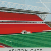 Ashton Gate Bristol Poster Diamond Painting