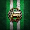 Hammarby Football Logo Diamond Painting